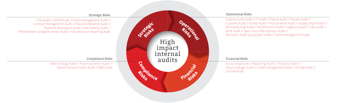 Fig. 1: High-impact internal audits
